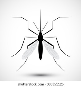 Mosquito isolated on white background. Aedes Aegypti mosquito. Vector mosquito. Hand drawn Vector illustration.