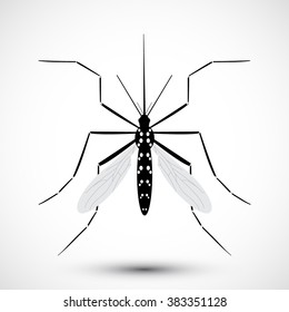 Mosquito isolated on white background. Aedes Aegypti mosquito. Vector mosquito. Hand drawn Vector illustration.