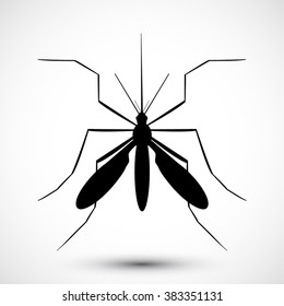 Mosquito isolated on white background. Aedes Aegypti mosquito. Vector mosquito. Hand drawn Vector illustration.