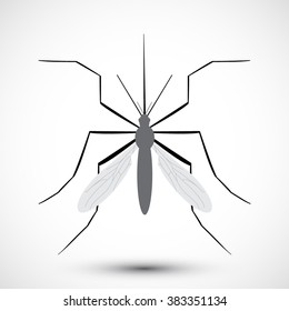 Mosquito isolated on white background. Aedes Aegypti mosquito. Vector mosquito. Hand drawn Vector illustration.