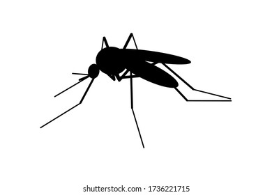 A mosquito isolated on a white background.Vector stock illustration