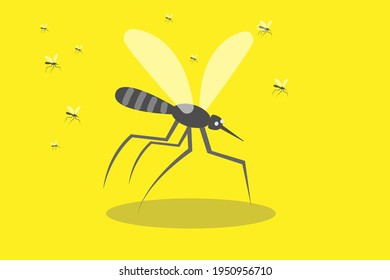 Mosquito isolated on yellow background