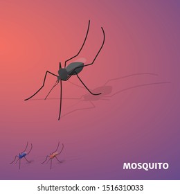 Mosquito in isometric view with shadow