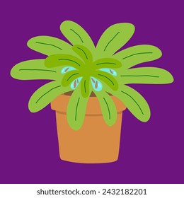 mosquito larva in plant leaf. mosquito control concept