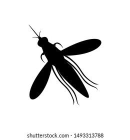Mosquito Logo Design Vector Illustration. Mosquito Design Template