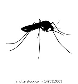 Mosquito Logo Design Vector Illustration. Mosquito Design Template