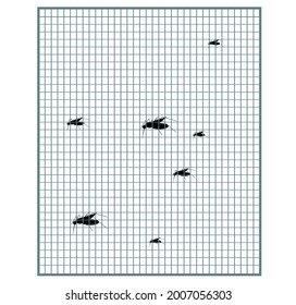 Mosquito nets for windows vector, icons, isolated