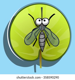 mosquito on green leaf round, view from above, top view