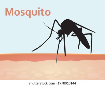 Mosquito on skin. vector illustration