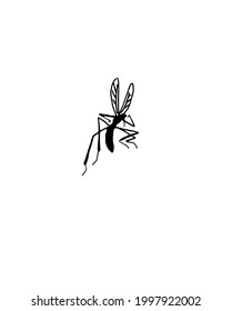 mosquito de fondo blanco