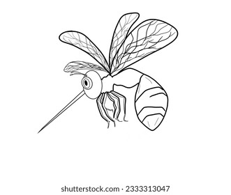 a mosquito on a white background