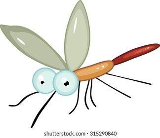 mosquito on white background