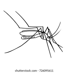 Mosquito on a white background a vector illustration.