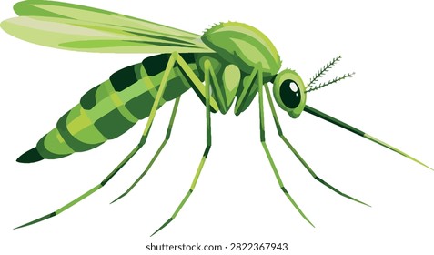 mosquito proboscis extended, side profile, full body, insect, decorative vector illustration