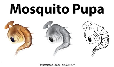 Mosquito pupa en tres estilos de dibujo diferentes ilustración