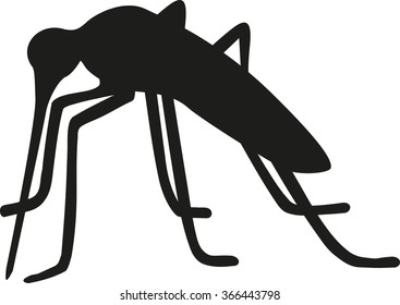 Mosquito silhouette