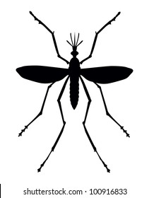 Mosquito silhouette. Close up. Vector eps 8