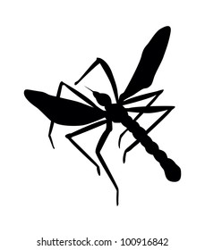 Mosquito silhouette. Close up. Vector eps 8