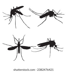 mosquito silhouette isolated black on white background