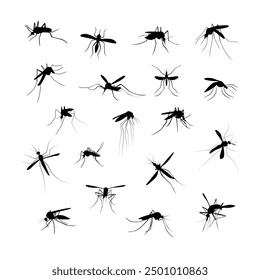 Mosquito silhouette set. Aedes aegypti icon. World mosquito day vector