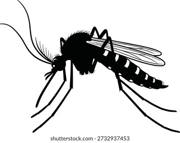 Ilustração vetorial de silhueta de mosquito, anatomia de inseto, design preto e branco, ícone portador de doença, gráfico de entomologia, símbolo da natureza, clipart editável, controle de pragas