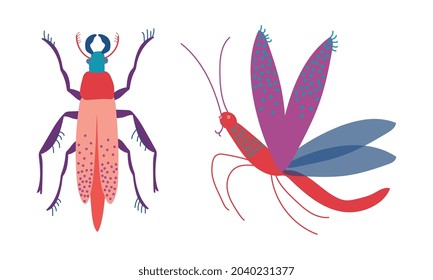 Mosquito and Stag Beetle Insects as Hexapod Flying Creature with Jointed Legs and Pair of Antennae Vector Set