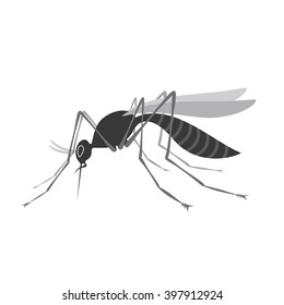 Mosquito with stinger isolated on white background. Zika virus. West Nile fever. Stock vector illustration.