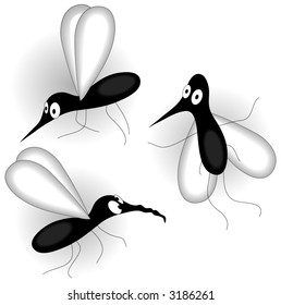 Mosquito swarm.