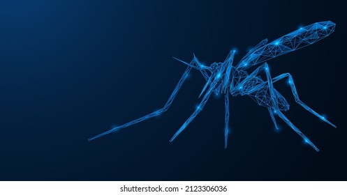 3 176 Blood Sucking Flies Images Stock Photos Vectors Shutterstock   Mosquito Twowinged Bloodsucking Insect Polygonal 260nw 2123306036 