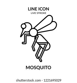 mosquito vector, animal line icon with live stroke,  Flat design
