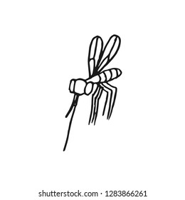 mosquito vector doodle sketch isolated on white background