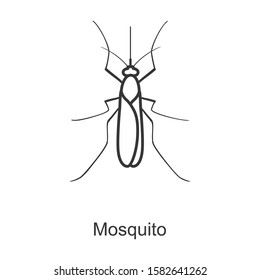 mosquito vector icon.Line vector icon isolated on white background mosquito.