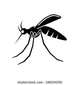 Mosquito, vector illustration