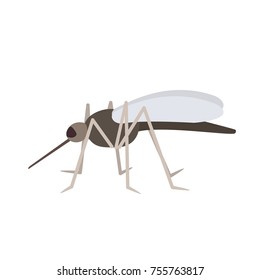 The mosquito. vector illustration