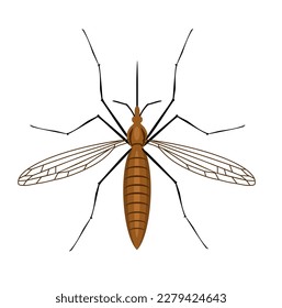 
Mosquito vector illustration. Mosquito icon flat vector illustration for logo, web, app. Mosquitoesborne diseases - dengue fever, zika disease, yellow fever, chikungunya disease, filariasis, malaria 