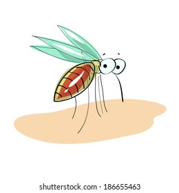 mosquito vector illustration isolated