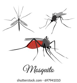 Mosquito vector illustration Mosquito set. Mosquito collection of drawings