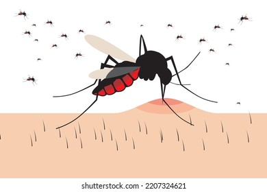 Mosquito Vector. Mosquitoes Bite Humans. Flying Insect Illustration. Malaria Plague Insects