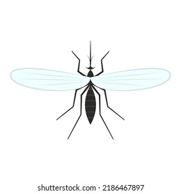 Mosquito vector. mosquito vector on white background.