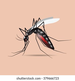 mosquito vetor, sinal 