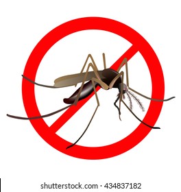 Mosquito warning, prohibitory sign. Vector illustration of common mosquito (Culex pipiens) in red crossed out circle on white background