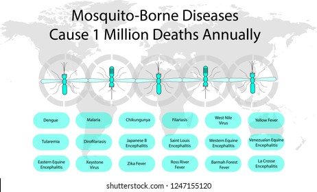  Mosquitoes and diseases transmitted by them.  Mosquito-borne diseases cause over one million deaths annually.  Vector illustration. Medical Information. World map background.