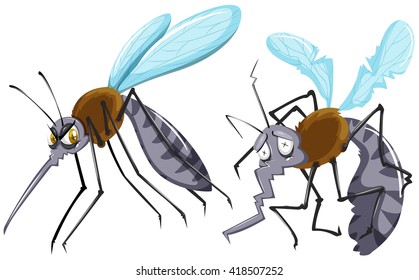 Mosquitoes strong and weak illustration