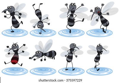 Mosquitos in different actions illustration
