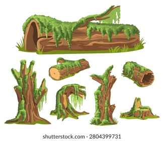 Moss covered stumps. Fluffy plants covering tree trunks. Wooden bark surfaces with green lichen. Morass creeping micro vegetation. Marsh overgrown wood with oakmoss. Natural mossy branches vector set
