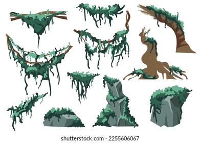 Moss and lichens set graphic elements in flat design. Bundle of swamp green lichen on tree trunks and stones, green hanging creepers and other plants on branches. Vector illustration isolated objects