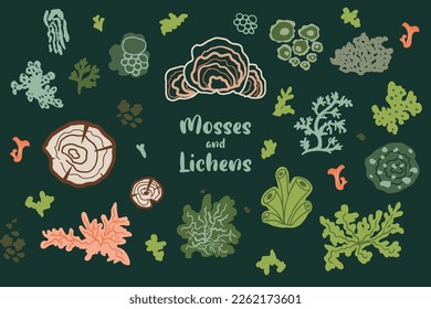 Moss, lichens, stump fungi, mushroom vector set. Forest biology and botanical isolated elements collection. Cute cartoon ecological and organic nature illustration in dark green color. Woodland symbol