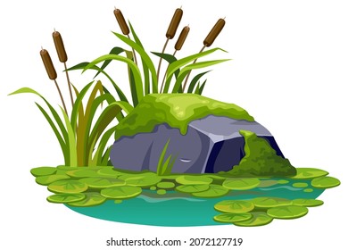 Moss on stone in marsh. Cartoon rock in swamp jungle. Сattail, salvinia, water lily. Isolated vector element on white background.