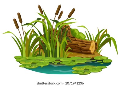 Moss on the stump in marsh. Cartoon log in swamp jungle. Broken tree oak, cattails, salvinia, water lily. Isolated vector element on white background.