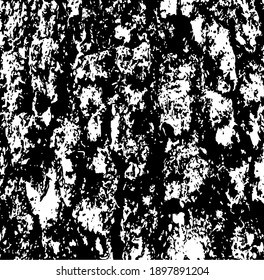 Moss on a tree trunk. Aged tree bark, close up. White design elements on black colour background, vector illustration.
